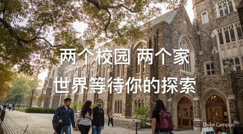 犹他大学与杜克大学-布朗大学和杜克大学选哪个「环俄留学」