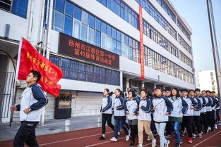 江都区国际学校初中部名师-江都国际学校