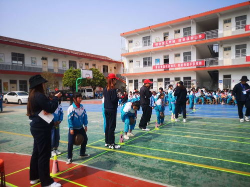 山亭新纪元小学收费-潍坊新纪元学校小学部2021年学费、收费多少