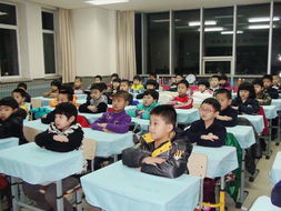 双语小学学校哪里好-上海双语学校有哪些