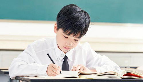 天津国际高中入学条件-天津美达菲国际学校2021年国际高中入学指南