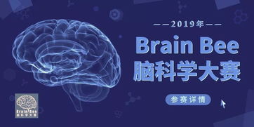 brainbee脑科学大赛2021年-2021年BrainBee脑科学大赛获奖名单