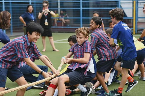 新加坡海外家庭国际学校好不好-为什么越来越多的家庭选择新加坡