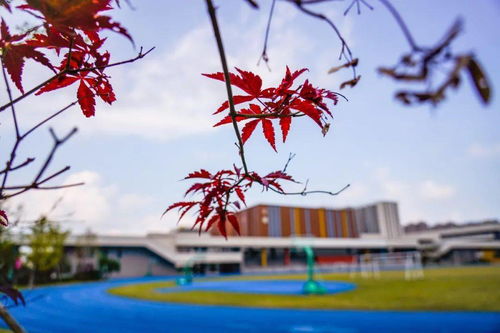 宁波至诚学校可以带手机吗-宁波至诚学校2021年报名条件、招生要求、招生对象