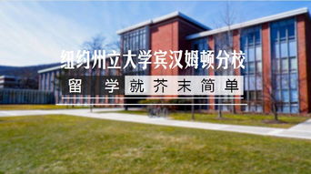 us news世界排名 宾汉姆顿-2021年纽约州立大学宾汉姆顿分校USNews世界大学排名第877