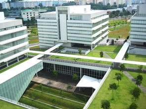 新加坡理工学院毕业申请国立大学-|2020年起,理工学院毕业生申请公立大学不再对O