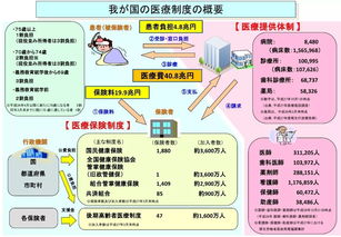 留学生医保怎么解决-深圳留学生回国遭遇医保真空怎么办