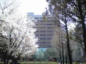 熊本大学研究生宿舍-千叶大学院校宿舍与校外租房须知