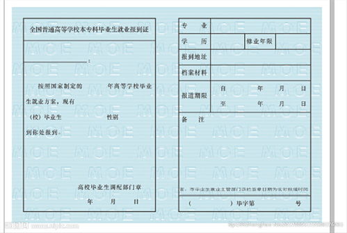 留学生有就业报到证吗-留学生就业报到证有多重要