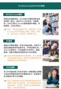 放心双语高中课程学费-上海美达菲双语高级中学学费是多少