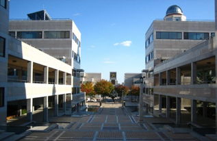 比萨圣安娜大学专业-2020年比萨圣安娜高等学校专业设置