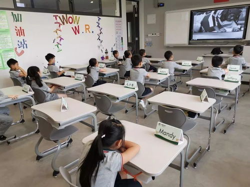 青浦平和双语学校待遇怎样-2018上海平和双语青浦学校启动招生
