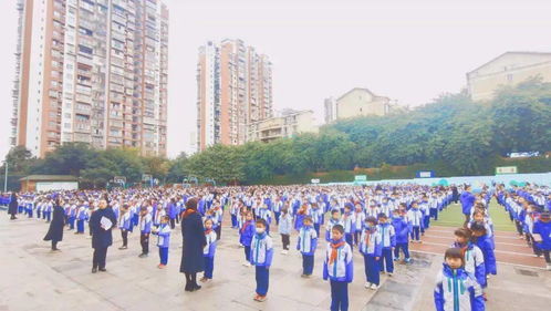 泸州天立小学入学条件-泸州天立国际学校国际初中招生简章