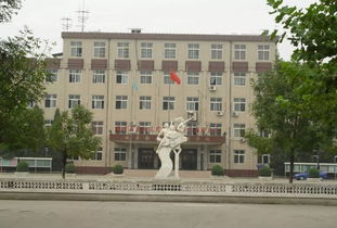 武清私立高中学校有几所-天津武清国际学校有哪些
