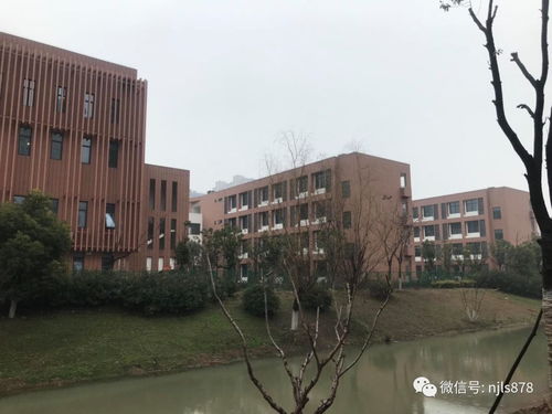 南京外国语学校哪个校区最好-南京外国语学校到底怎么样