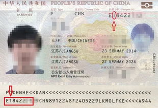 护照的签证号码在哪里查看-申请美国签证