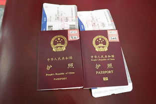 issue之后多久拿到护照-美国签证通过后怎么查询护照的状态