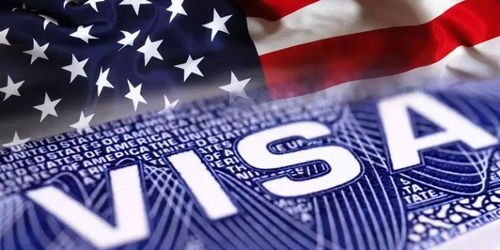 美国签证十年签但护照过期了怎么办-十年的美国签证在旧护照上