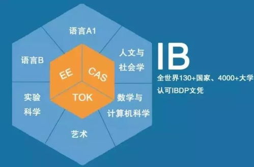广州ib课程的学校-2018广州各大IB学校汇总