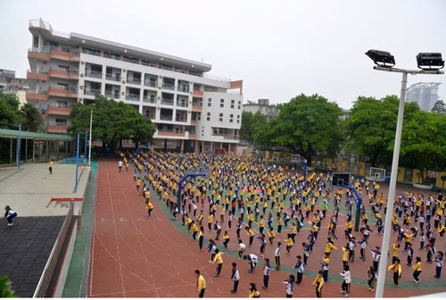 上海世界外国语小学全国排名第几-上海排名前十的国际学校