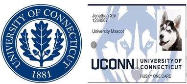 康涅狄格大学校徽含义-康涅狄格大学属于什么档次
