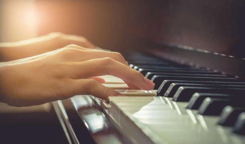 德比大学有钢琴系吗-2020年德比大学有哪些专业