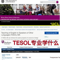 tesol专业属于英语语言文学么-想当英语教师吗