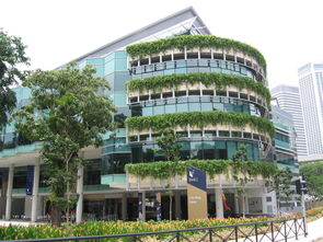 新加坡管理大学华科-新加坡管理大学知乎