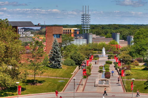 stony brook university世界排名-2021年纽约州立大学石溪分校USNews世界大学排名第176