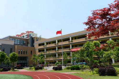 闵行区虹桥中心小学校长-上海闵行区虹桥中心小学成就荣誉