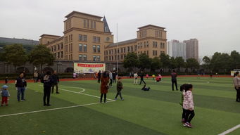 上海市金山区私立小学-2019年上海民办双语小学名单及学费、地址汇总