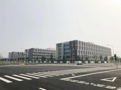 海淀区特色国际学校-北京比较好的国际学校整理