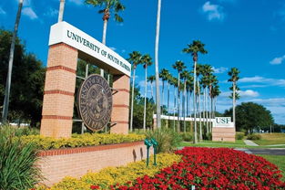 南佛罗里达气候-佛罗里达州美国大学介绍及气候特点