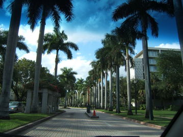 迈阿密大学王牌专业-美国迈阿密大学优势专业和申请条件