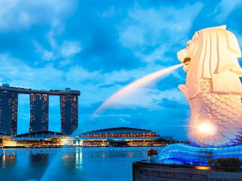 新加坡耶鲁联合项目-耶鲁联合学院2020本科录取案例
