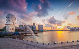 新加坡耶鲁联合项目-耶鲁联合学院2020本科录取案例