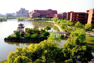 上海诺科和上海交大-上海诺科学校怎么样