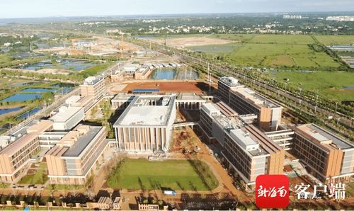 北京哈罗国际学校升学-北京哈罗学校升学率怎么样