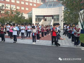 合肥润安公学小学招生-合肥润安公学2021年报名条件、招生要求、招生对象