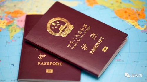 护照签证怎么查出签-申请美国签证