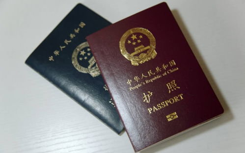 中信护照排队-护照跟踪显示