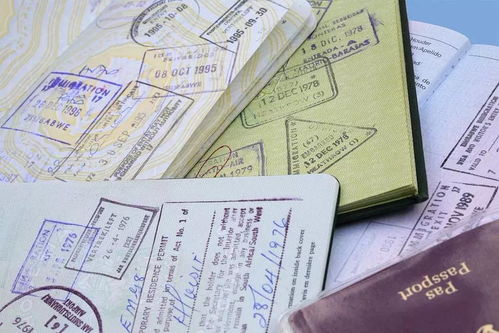 中信银行领取美签护照-申请美国签证