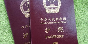 美国护照换发-申请美国签证