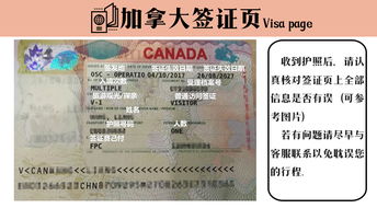 b1b2签证十年可以多次进出吗-申请美国签证