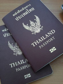 护照上b2是什么意思-美国十年签证上面的B1/B2是什么意思