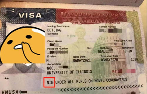 f1签证入境美国最新-我已停课6个月并返回了中国