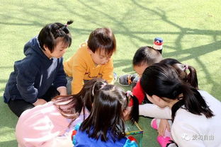 银川蒙特梭利国际学校怎么样-宁夏蒙特梭利国际学校怎么样、好不好