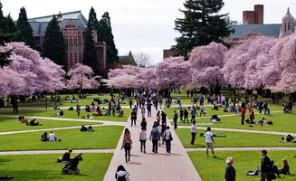 华盛顿西雅图大学毕业率-世界排名靠前的华盛顿西雅图大学介绍