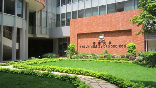 香港港岛国际学校排名-香港的国际学校排名
