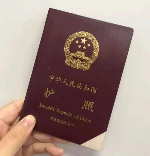 护照号码变更签证-更换新护照后